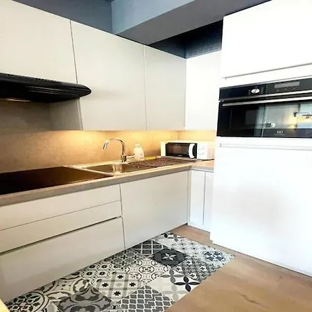 Apartment In Belgium Near The *