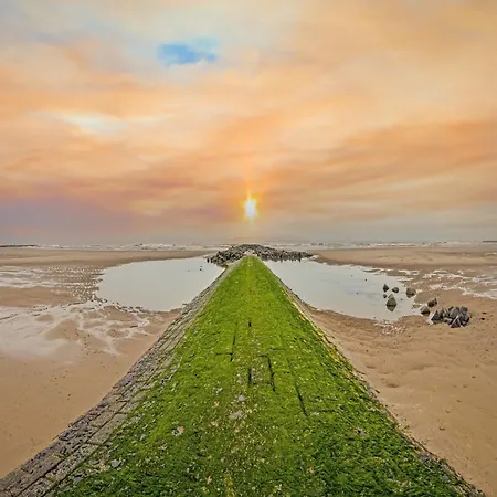 In Belgium Near The *